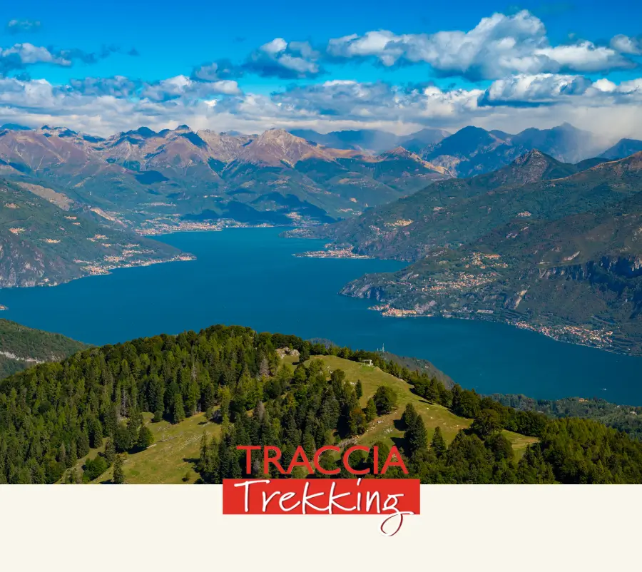 Panoramic view of Lake Como and surrounding mountains seen from Monte San Primo, with forested hills in the foreground and blue lake waters stretching between the alpine peaks.